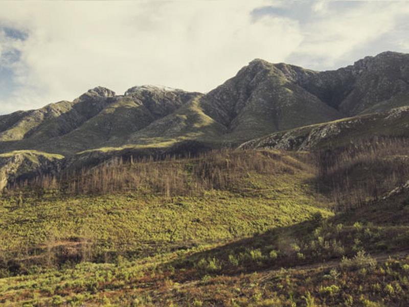 De Companjie Bed & Breakfast Swellendam Eksteriør bilde